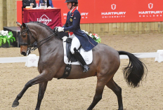 Lien Vidéo Virale Charlotte Dujardin Durée Complète HD Doodstream, Cheval Fouettard Comme Un Éléphant De Cirque