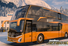 Download Livery Bus Simulator X Multiplayer JB5 Gratis Paling Keren, Banyak Pilihan Tema Menarik!