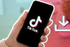 Download TikTokio Com New Version 2024, Unduh Video TikTok Tanpa Watermark Unlimited Slot!