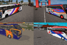 Bus Simulator Indonesia (BussID) MOD APK Versi 2024, Klik Link Download Game Simulasi Jadi Sopir Paling Viral