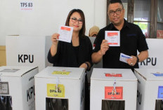 Dua Petugas KPPS di Wonosobo dan Pidie Meninggal Dunia di TPS Jelang Pemilu 2024, Begini Faktanya yang Bikin Syok