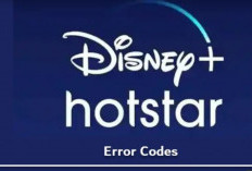 Cara Mangatasi Err_pb_1410 atau Kode Kesalahan Pb-5040 di Disney Hotstar, Lakukan Ini Auto Beres 