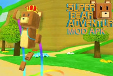 Cheat Codes Super Bear Adventure Mei 2024, Klaim Sekarang! Banyak Hadiah Seru Gratis yang Didapatkan