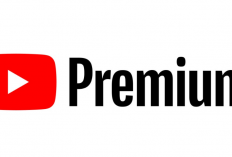 Téléchargement Youtube PREMIUM Modification pour Android, Des millions de contenus intéressants prêts à être appréciés