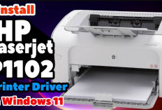 Link Download Driver HP Laserjet P1102 Terbaru 2024 dan Cara Install, Ikuti Panduan Paling Mudah ini!