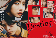 Sinopsis Destiny (2024), Dorama Jepang Tentang Jaksa yang Usut Kematian di Masa Lalu yang Misterius