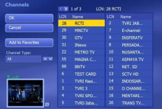 Frekuensi RCTI TV Digital Jawa Timur Terbaru Tahun 2024, Tata Cara Mencari [Panduan Lengkap]