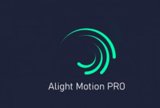 Link Download Alight Motion Mod Apk Latest Version 2024, Premium Unlocked No Watermark!