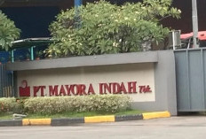 Loker PT Mayora Indah Tbk Februari 2024, Buka-Bukaan Besar Di Jakarta!