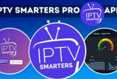 Tous Les Codes IPTV Smarters Pro pour Android Avril 2024. Dépêchez-vous d'obtenir votre prix pour ne pas être à court.