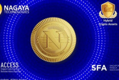 Apakah Nagaya Coin Penipuan? yang Baru Mau Invest, langsung Simak Faktanya di Sini