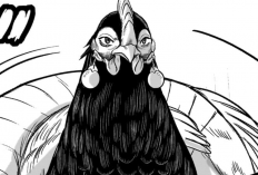 RAW Lire le Manga Rooster Fighter Chapitre 37 VF FR Scans, Un Coq Fort et Résistant