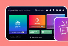 Application Gratuite IPTV Le Succès Des Meilleures Présenter Une Variété D'émissions Passionnantes