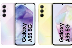 Samsung Galaxy A55 Dernières Spécifications Mai 2024, Présentant le Chipset Exynos 1480 et Déjà La 5G !