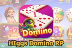 Link Download Higgs Domino RP v2.30 Tanpa Iklan 2024, Sudah Bonus X8 Speeder Gratis Untukmu!