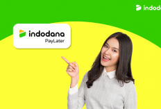 Info Kode Referral Indodana Agustus 2023, Cepetan Klaim Sekarang Juga Biar Gak Hangus! 