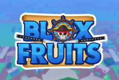 Blox Fruits Codes Mardi 25 juin 2024 gratuit, Une limite de prix attrayante peut être prise maintenant