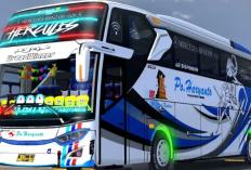 Download Kodename Bussid Terlengkap 2024, Ubah Skin Bus mu Jadi Makin Cantik!