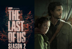La Date de Sortie de The Last of Us Saison 2, Bientôt ! Lire l'Article Complet Ici