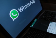 Cara Mengetahui Suami Chat dengan Siapa Saja di WhatsApp, Anti Ketahuan! Langsung Tau dalam Hitungan Detik