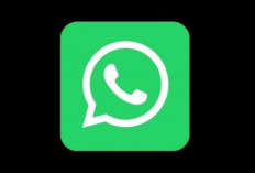 Comment Installer WhatsApp GB Mod Apk Sur iPhone 2024, Here ou Télécharger pour Gratuit