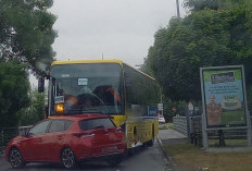 Vidéo de l'Accident d'un Bus Scolaire Percute 3 Voitures à Machecoul, le Conducteur était Distrait et Malade