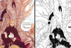 Spoilers et Lire Manga Boruto : Two Blue Vortex  Chapitre 13 Scans VF, Himawari reconnaît Boruto ?