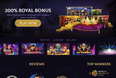 Royal Ace Casino No Deposit Bonus Codes | Mai 2024, Un casino bien établi avec des bonus de bienvenue!