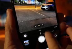 Activer Mode Nuit Photo iPhone 11 Très Facile! Pour Les Débutants, Suivez Ces étapes !