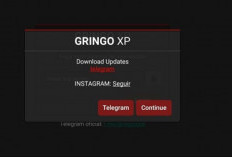 Link Download Gringo XP V80 Mod APK Terbaru 2024, Gratis Unlocked All Skin Hingga Akses Item! 