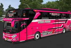 Download MOD Bussid Bus Pariwisata Terbaru Tahun 2024 Full Strobo, Paling Jernih HD Gratis!