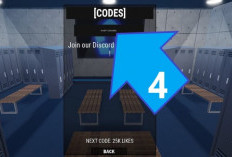 Litse Locker Codes Roblox 2024: Obtenez-le Maintenant, ne le Laissez pas Expirer !