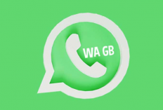 Download Whatsapp GB For Android Versi Terbaru 2024, Fitur Lengkap dan Menarik Ketimbang Versi ORI