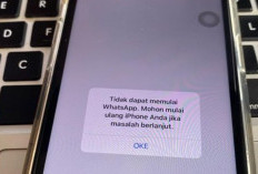 Error WA Business Tidak Bisa Dibuka Hari Ini, Kenapa? Jangan Panik! Ini Penyebab dan Solusinya