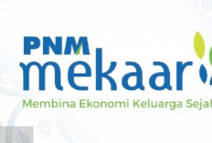 Daftar Penerima Bantuan PNM Mekaar Desember 2023, Cek Disini Sekarang Juga!