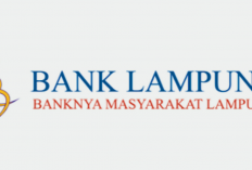 Tutorial Cepat Cek Saldo Bank Lampung Lewat Aplikasi Hp, Mudah dan Gampang Banget !