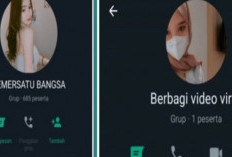 Kumpulan Link Grup Whatsapp Video Bebas Terbaru 2024, Khusus Dewasa! Viral Video Terbaru Paling Hot