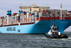 Waspada! Maersk Cargo Indonesia BIZ ID Apakah Aman dan Bukan Penipuan? Bongkar Fakta Agar Tak Jadi Korban