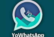 Download YoWhatsApp Apk Versi Terbaru 2024 Anti Banned, WA GB dengan Fitur Keamanan Canggih!