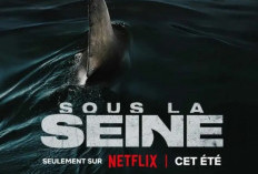 Synopsis du Film Under Paris (2024) Sur Netflix, L'histoire d'un Mystérieux Chasseur de Requins 