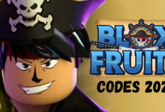 Code de remboursement Blox Fruits 26 juillet 2024, Des cadeaux intéressants prêts à la demande!