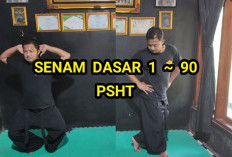 Jurus Senam Dasar 1-30 Terlengkap 2024, Donwload File PDF Mudah Dipahami Disini!