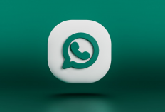 Download Social Spy WhatsApp APK 2024, Cara Sadap Chat Hingga Telepon Paling Jitu dan Aman
