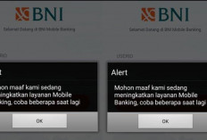 M-Banking BNI Error Hari Ini 24 Mei 2024, Ada Update Terbaru! Begini Cara Membenahinya