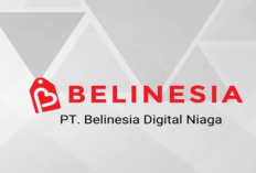 PT. Belinesia Digital Niaga Apakah Perusahaan yang Aman? yang Mau Lamar Kerja Disini Lihat Dulu Reviewnya!