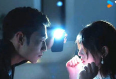 Link Nonton Drama China Undercover Affair (2024) Full Episode 1-24 Sub Indonesia Tayang Resmi di Youku