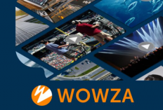 Wowza Company Indonesia Apakah Penipuan? Simak Ciri Ciri Perusahannya Biar Gak Nyesel di Kemudian Hari!