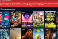 Comment Accéder Flixcord Offre Une Grande Variété De Contenus Films, Séries, Logiciels, Musique, Jeux, Livres, Etc.