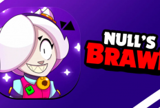 Lien Téléchargerment Null’s Brawl APK Sur iOS et Android Dernière 2024, Argent Illimité et Multijoueur