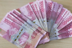 Modal Klik Doang Dapat Cuan Ratusan Ribu Per Hari! Download Koin Tunai Apk Penghasil Uang GRATIS Versi Terbaru 2023